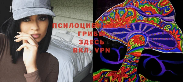 гашик Алзамай