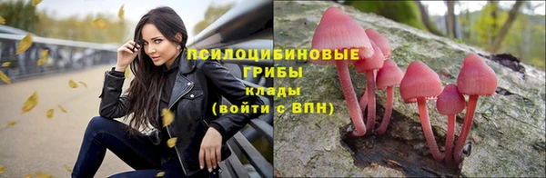 каннабис Алексин