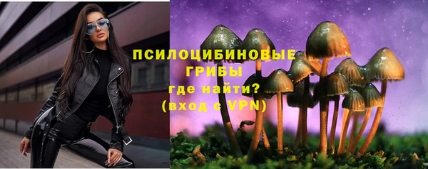 стафф Алексеевка