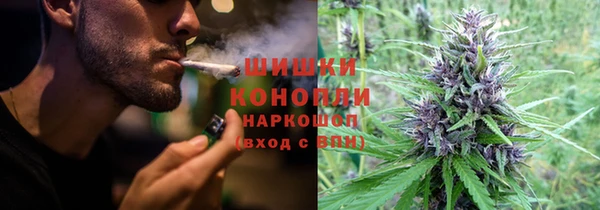 гашик Алзамай