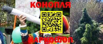 скорость Бердск