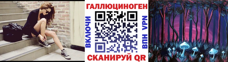 Галлюциногенные грибы Psilocybe Одинцово