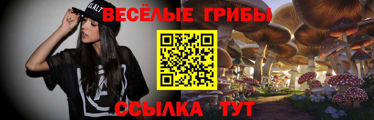 Псилоцибиновые грибы Psilocybe  Вход с VPN  Псилоцибиновые грибы Psilocybine cubensis  Одинцово 
